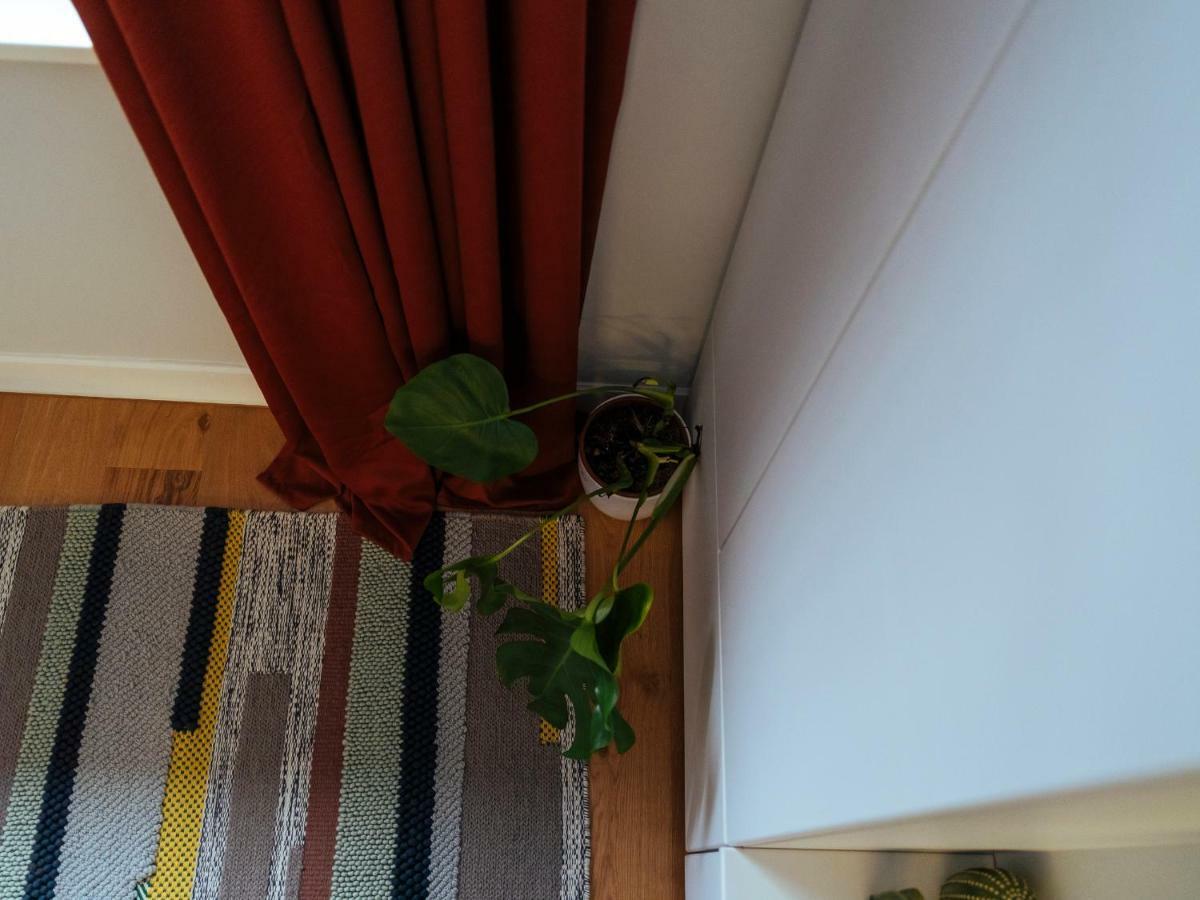 Boutique Luxury Flats - La Maison Du Petit Paris 布加勒斯特 外观 照片